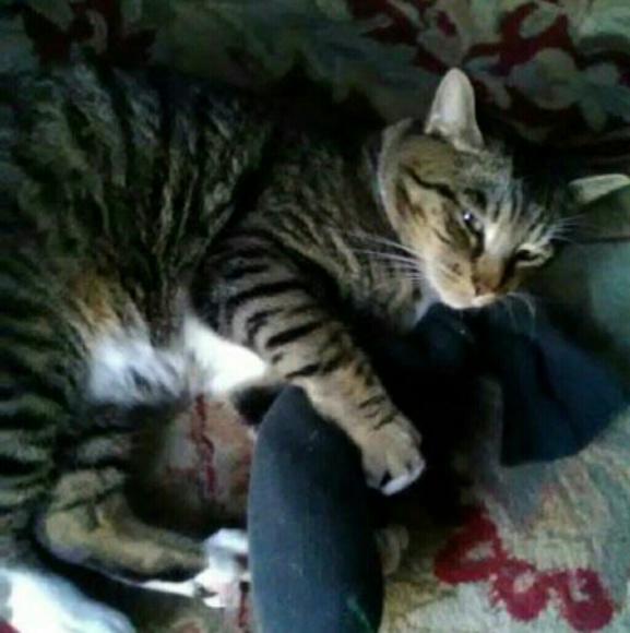 END STIGMAS DISEASE OF ADDICTION! - Picture 9 of 16